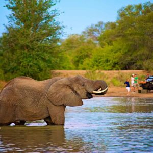 3 Day Botswana Fly-In Package